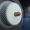 Rainbow Canister Vacuum D4 - Image 7
